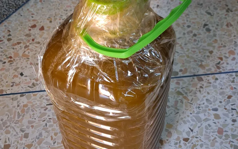 زيت زيتون في بيدوز 5 لتر مع الشريحة